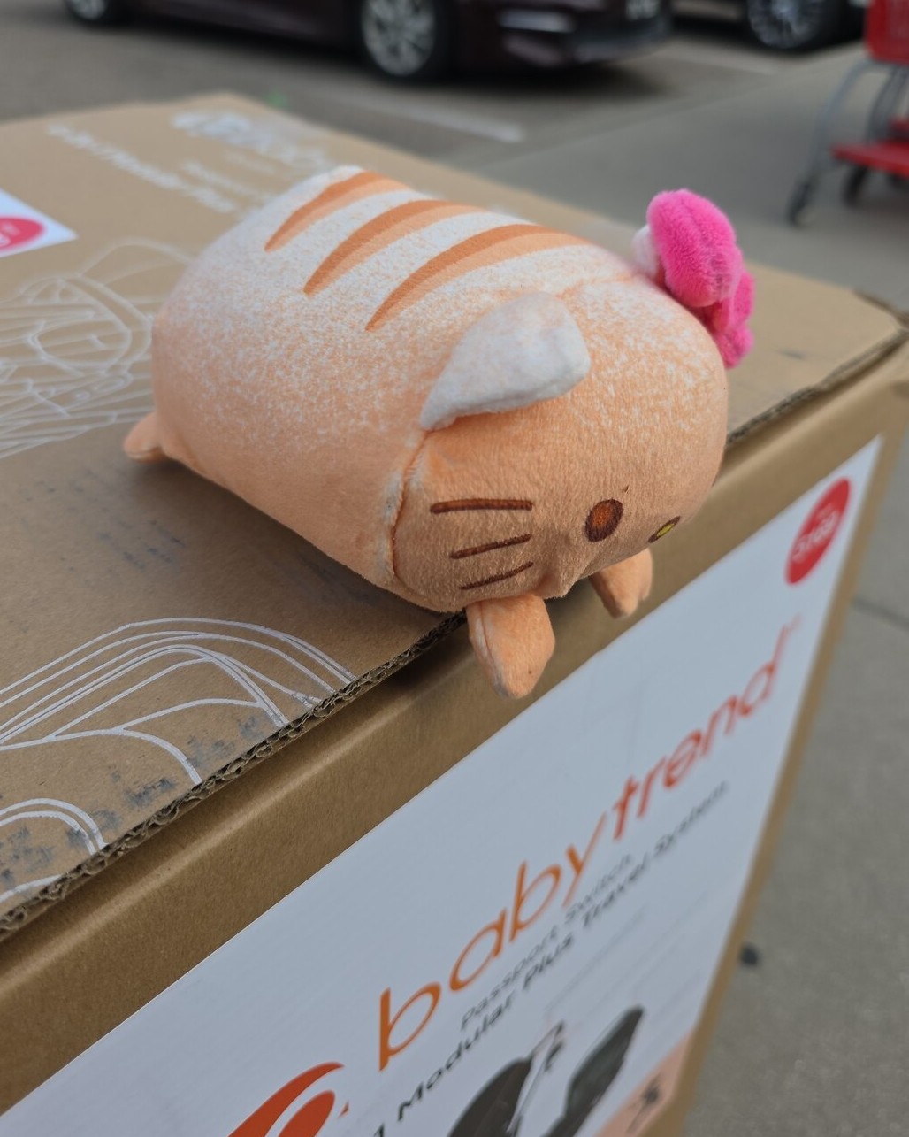 The loaf cat plush seen from a three-quarter angle during its capture shoot